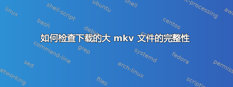 如何检查下载的大 mkv 文件的完整性