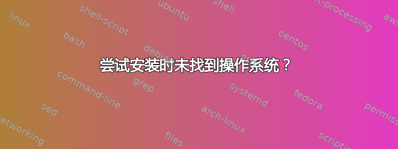 尝试安装时未找到操作系统？