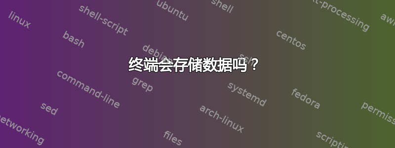 终端会存储数据吗？