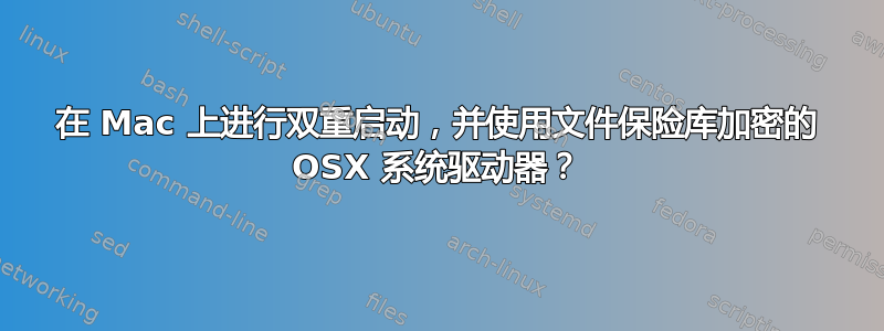 在 Mac 上进行双重启动，并使用文件保险库加密的 OSX 系统驱动器？