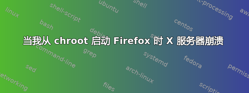 当我从 chroot 启动 Firefox 时 X 服务器崩溃