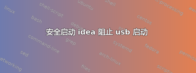 安全启动 idea 阻止 usb 启动