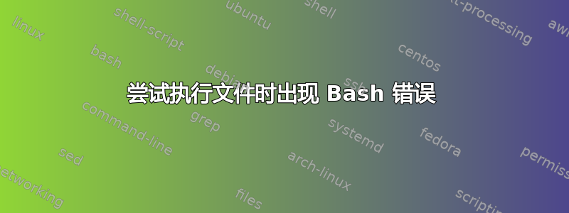 尝试执行文件时出现 Bash 错误