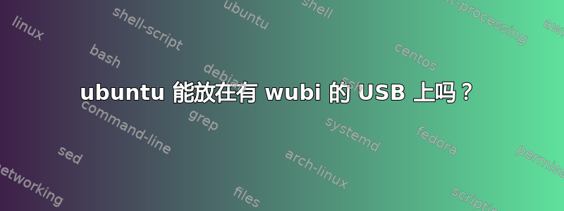 ubuntu 能放在有 wubi 的 USB 上吗？