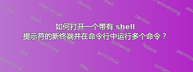 如何打开一个带有 shell 提示符的新终端并在命令行中运行多个命令？