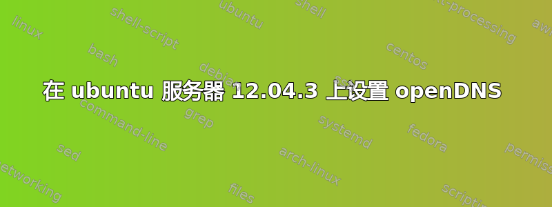 在 ubuntu 服务器 12.04.3 上设置 openDNS