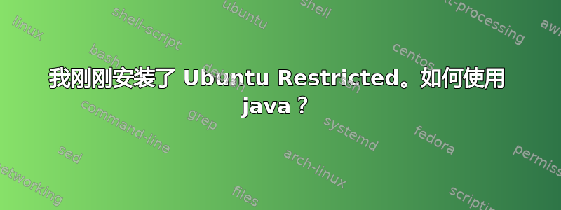 我刚刚安装了 Ubuntu Restricted。如何使用 java？