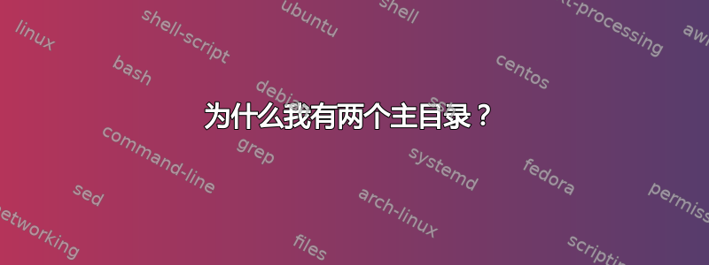 为什么我有两个主目录？