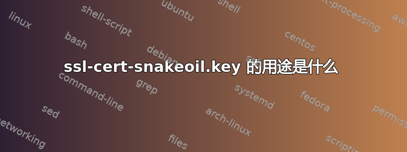 ssl-cert-snakeoil.key 的用途是什么