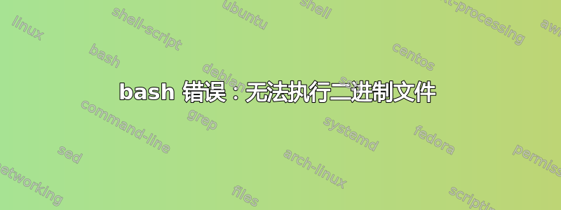 bash 错误：无法执行二进制文件