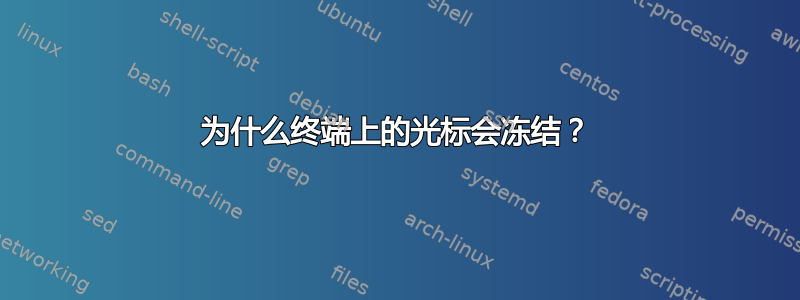 为什么终端上的光标会冻结？