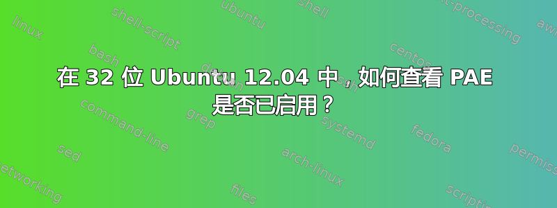 在 32 位 Ubuntu 12.04 中，如何查看 PAE 是否已启用？