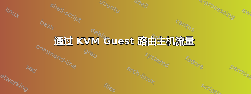 通过 KVM Guest 路由主机流量