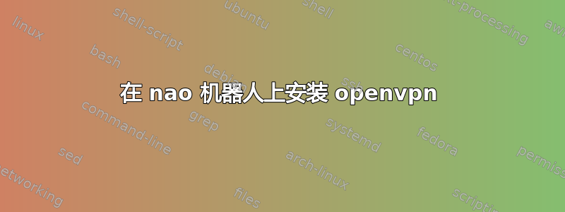 在 nao 机器人上安装 openvpn