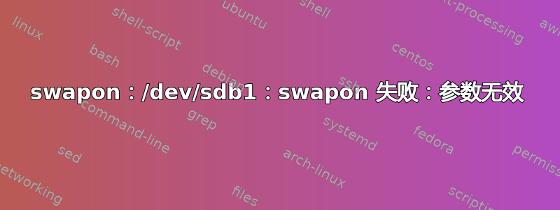 swapon：/dev/sdb1：swapon 失败：参数无效