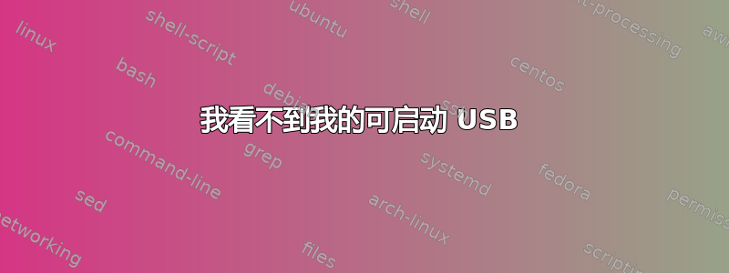 我看不到我的可启动 USB