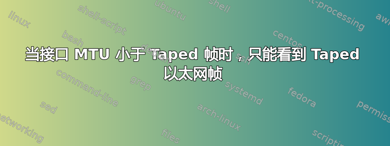 当接口 MTU 小于 Taped 帧时，只能看到 Taped 以太网帧