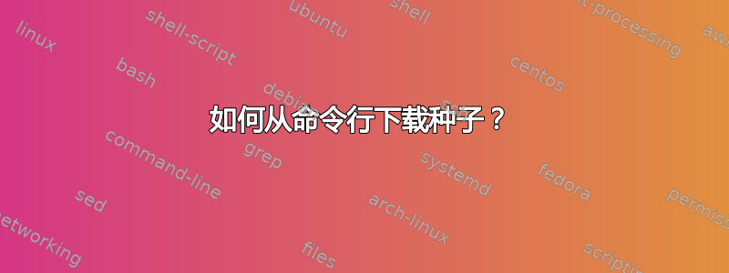 如何从命令行下载种子？