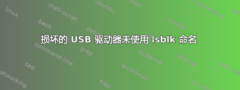 损坏的 USB 驱动器未使用 lsblk 命名