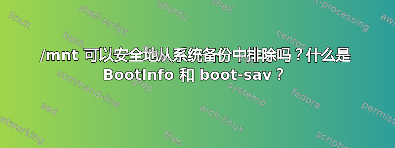 /mnt 可以安全地从系统备份中排除吗？什么是 BootInfo 和 boot-sav？