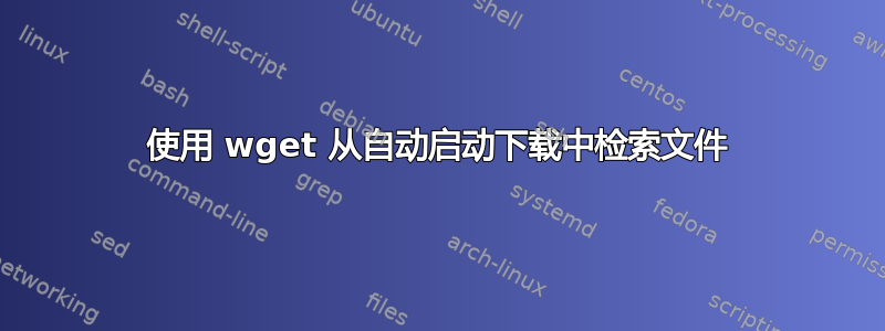 使用 wget 从自动启动下载中检索文件