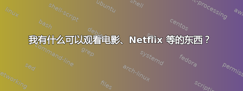 我有什么可以观看电影、Netflix 等的东西？