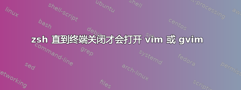 zsh 直到终端关闭才会打开 vim 或 gvim 