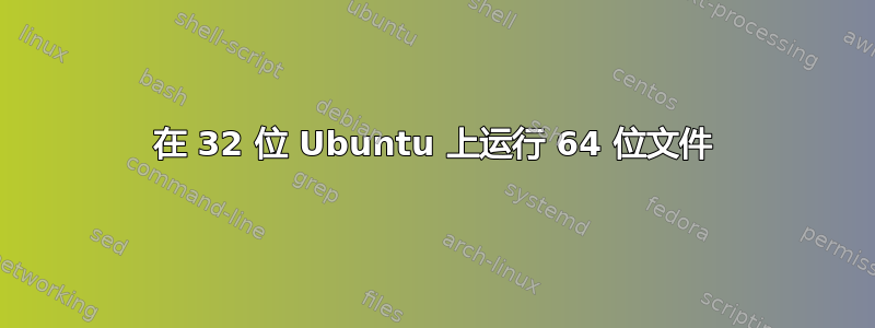 在 32 位 Ubuntu 上运行 64 位文件