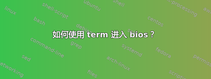 如何使用 term 进入 bios？