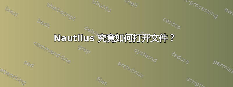 Nautilus 究竟如何打开文件？