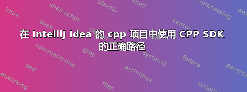 在 IntelliJ Idea 的 cpp 项目中使用 CPP SDK 的正确路径