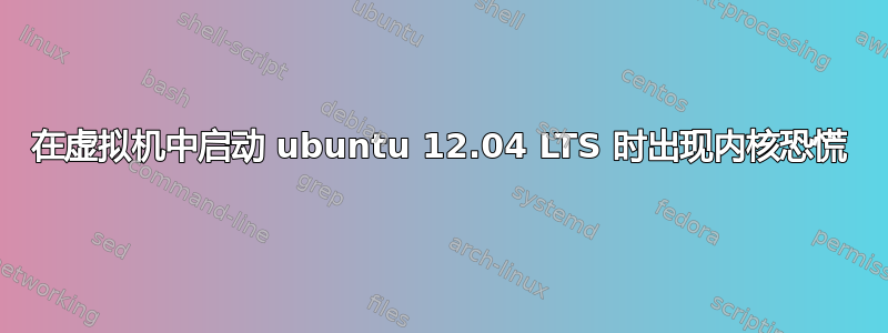 在虚拟机中启动 ubuntu 12.04 LTS 时出现内核恐慌