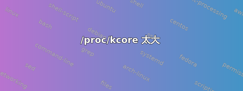 /proc/kcore 太大