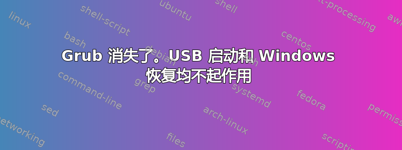 Grub 消失了。USB 启动和 Windows 恢复均不起作用