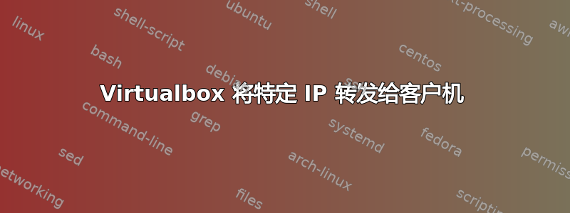 Virtualbox 将特定 IP 转发给客户机