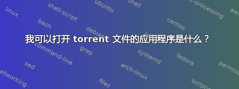 我可以打开 torrent 文件的应用程序是什么？