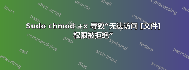 Sudo chmod +x 导致“无法访问 [文件] 权限被拒绝”