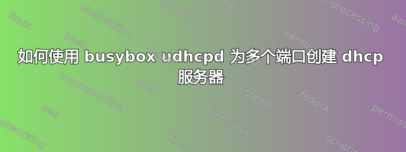 如何使用 busybox udhcpd 为​​多个端口创建 dhcp 服务器