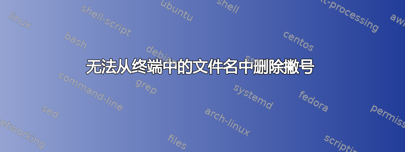 无法从终端中的文件名中删除撇号