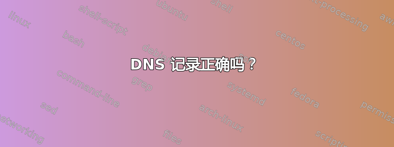 DNS 记录正确吗？