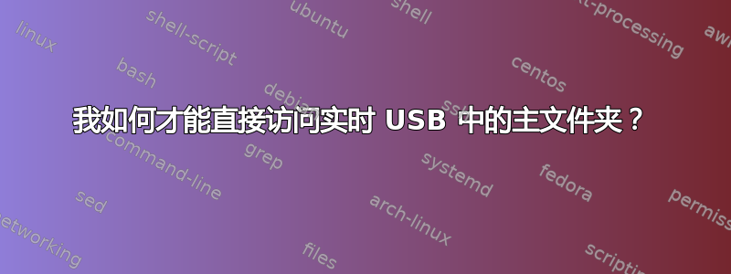 我如何才能直接访问实时 USB 中的主文件夹？