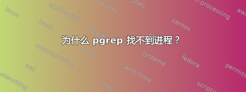 为什么 pgrep 找不到进程？