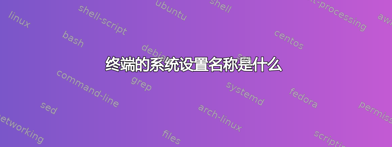 终端的系统设置名称是什么