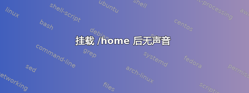 挂载 /home 后无声音