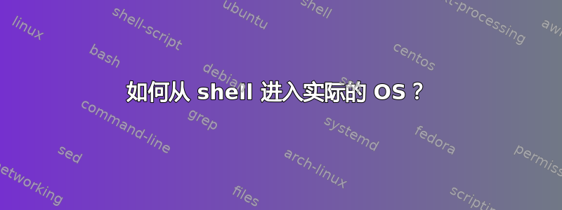 如何从 shell 进入实际的 OS？