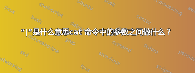 “|”是什么意思cat 命令中的参数之间做什么？