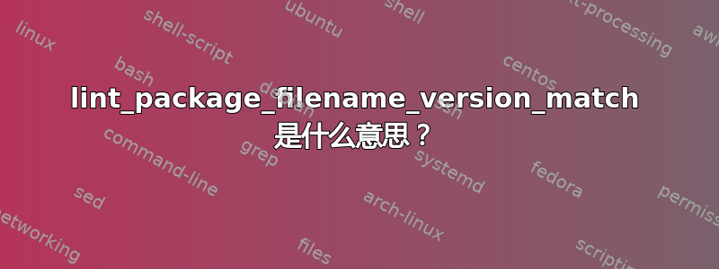 lint_package_filename_version_match 是什么意思？