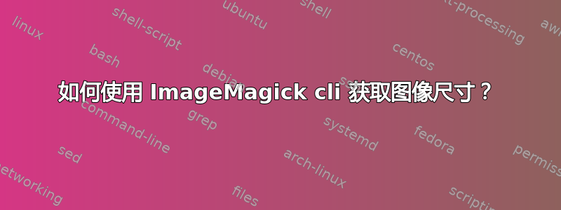 如何使用 ImageMagick cli 获取图像尺寸？