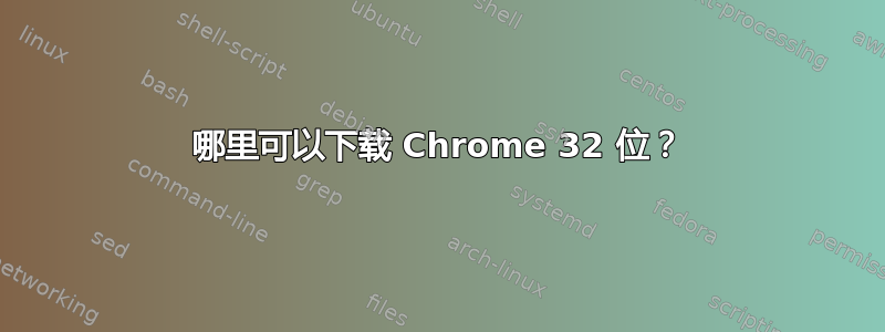 哪里可以下载 Chrome 32 位？