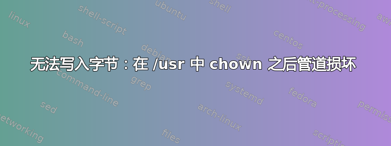 无法写入字节：在 /usr 中 chown 之后管道损坏